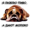 TEHb